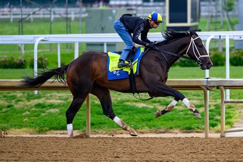kentucky derby bets superfecta